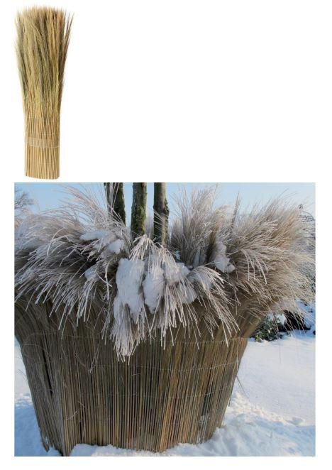 Nach den Angaben der Antragstellerin sowie der vorliegenden Abbildungen handelt es sich bei der sog. "Winterschutzmatte CALIFORNIA" um eine rechteckige Flechtware aus getrockneten Farnstängeln (Flechtstoff im Sinne der Anmerkung 1 zu Kapitel 46), die parallel aneinandergereiht und durch Bindematerial (dünne Metalldrähte) in Mattenform miteinander verbunden sind (H 100 x L 150 cm).

Die Ware dient hauptsächlich dem Schutz von Pflanzkübeln und Töpfen gegen Frost.

Derartige Erzeugnisse werden zolltarifrechtlich als "Flechtstoffe, in Flächenform parallel aneinandergefügt, auch wenn sie dadurch den Charakter von Fertigwaren erhalten haben, Matten aus anderen pflanzlichen Stoffen als Bambus oder Rattan, nicht aus Geflechten oder ähnlichen Waren aus Flechtstoffen" eingereiht.