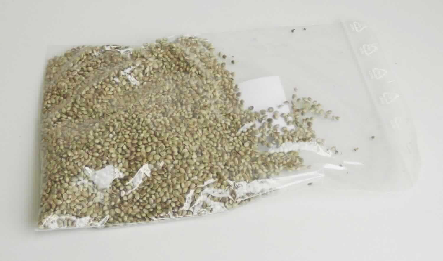 Nach den Angaben der Antragstellerin und der vorliegenden Warenprobe handelt es sich um eiförmige, ca. 4 bis 7 mm lange und ca. 3 bis 5 mm breite, graugrüne und graubraune, ungeschälte Hanfsamen (Cannabis; Cannabis sativa), die nicht zur Aussaat bestimmt sind. 

Zolltarifrechtlich handelt es sich um "Andere Ölsamen als in den Positionen 1201 bis 1206 genannt, nicht von den Unterposition (KN) 1207 1000 bis 1207 9920 erfasst; hier: Hanfsamen der Art Cannabis sativa".