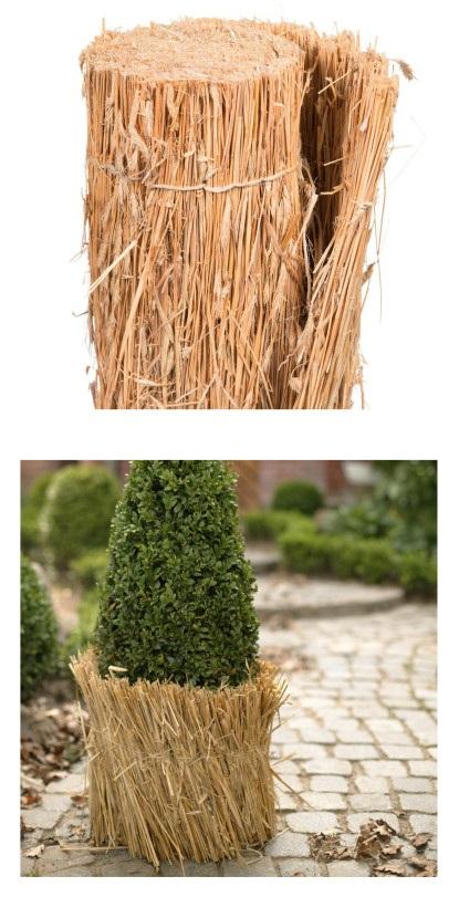 Nach den Angaben der Antragstellerin sowie den vorliegenden Abbildungen handelt es sich bei der sog. "Winterschutzmatte Stroh" um eine rechteckige Flechtware aus getrockneten Strohhalmen (Flechtstoff im Sinne der Anmerkung 1 zu Kapitel 46), die in Bündeln parallel aneinandergereiht und durch Bindematerial in Mattenform miteinander verbunden sind.

Die in zwei Größen (ca. 50 x 150 cm; 100 x 150 cm [Höhe x Länge]) gefertigte Ware ist hauptsächlich zur Verwendung als Kälteschutz für Pflanzkübel und Pflanztöpfe bestimmt.

Derartige Waren werden zolltariflich als "Flechtstoffe, in Flächenform parallel aneinander gefügt, auch wenn sie dadurch den Charakter von Fertigwaren erhalten haben (z.B. Matten, Strohmatten, Gittergeflechte), aus anderen pflanzlichen Stoffen als Bambus oder Rattan, nicht aus Geflechten oder ähnlichen Waren aus Flechtstoffen" eingereiht.