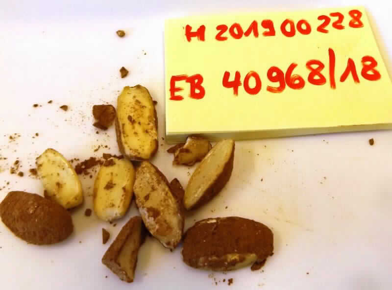 Angaben des Antragstellers:
Zusammensetzung: 80 % gekeimte, getrocknete Pili-Nüsse, 10 % Kakao, Kokosblütenzucker, Himalayasalz.
Verpackungseinheit: 28 g-Packungen.

Feststellungen anhand einer Warenprobe:
Verpackung: Bunt bedruckter, verschweißter Kunststofffolienbeutel. Kennzeichnung (Auszug): "Mount Mayon, Volcanic Pili Nuts, Ecuadorian Cacao, 28 g". Inhalt: mit einem kakaohaltigen Pulver überzogene Pilinüsse; Geruch: nach Kakao; Geschmack: nach Pilinüssen, süß, nach Kakao, leicht salzig.

Milchfett (1): 0 bis weniger als 1,5 GHT.
Milchprotein (1): 0 bis weniger als 2,5 GHT.
Stärke/Glucose (1): 0 bis weniger als 5 GHT.
Saccharose/Invertzucker/Isoglucose (1): 5 bis weniger als 30 GHT.
(1) Angaben des Antragstellers.

Befund:
Die Einreihung erfolgt auf der Grundlage der Antragsangaben. Danach liegt eine kakaohaltige Lebensmittelzubereitung vor.

Schokolade und andere kakaohaltige Lebensmittelzubereitungen: andere: andere: in unmittelbaren Umschließungen mit einem Gewicht des Inhalts von 1 kg oder weniger.