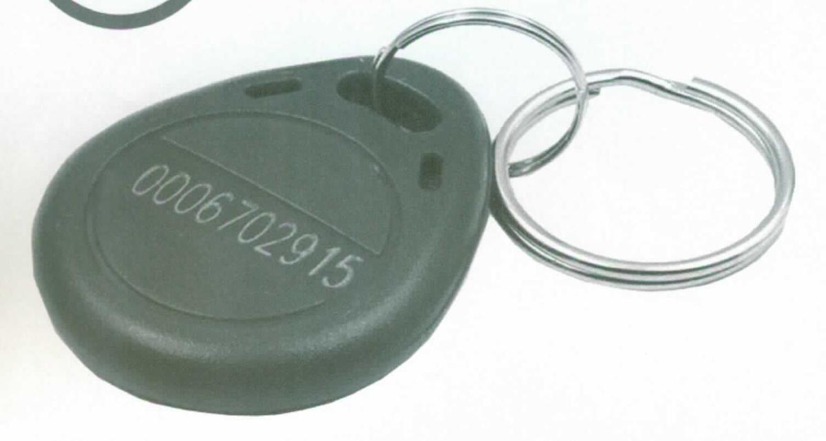 Ein Set sog. RFID Schlüsselanhänger (5 Stück), im Wesentlichen bestehend aus:
- einem blauen Kunststoffgehäuse einschließlich Befestigungs-Öse und Schlüsselring,
- mit einem passiven RFID-Tag (Mikrochip),
- einer Antenne (Frequenzbereich: 125 KHz),
- ggf. mit Aufzeichnung (z.B. ID-Nummer),
- zur Verwendung als kontaktloser Datenüberträger in verschiedenen Identifikationssystemen 
  (z.B. für Zutrittskontrolle, Zeiterfassung, etc).

Das mit einem nicht flüchtigen Speicher und einer Antenne ausgestattet Erzeugnis beinhaltet keine weiteren aktiven oder passiven Bauelemente und ist als passiver RFID-Transponder zur Verwendung als kontaktloser Überträger von Informationen in einem RFID-System bestimmt.

Die Ware wird als "Halbleiter-Aufzeichnungsträger, intelligente Karte (smart card)" eingereiht. 

Anlage: 1 Abbildung