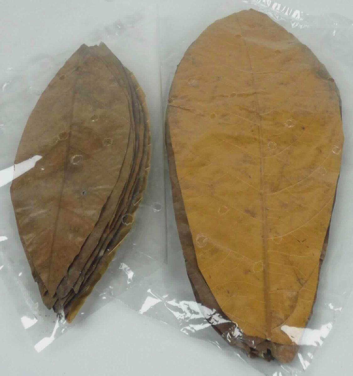 Kakaoblätter, getrocknet (Abbildung siehe Anlage) 
- gereinigte und anschließend durch Pressen getrocknete Blätter des Kakaobaumes 
  (Länge ca. 10 - 35 cm, Breite ca. 5 - 15 cm),
- zu Binde- oder Zierzwecken geeignet,
- zur Verwendung z.B. zur Dekoration im Bereich Floristik oder in Aquarien,
- wird üblicherweise vom Blumenhandel geliefert.

"Blätter, ohne Blüten und Blütenknospen, weitergehend bearbeitet als nur getrocknet, zu Binde- oder Zierzwecken"