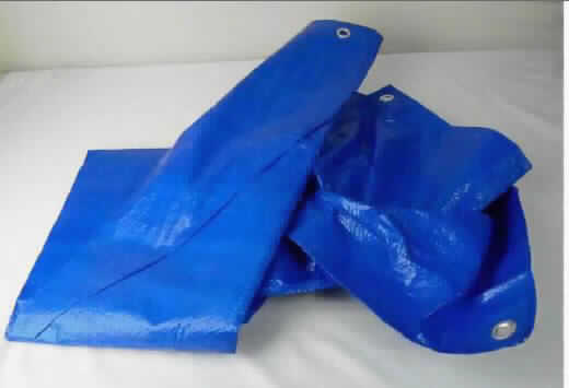 Plane, sog. Gewebeplane, Foto siehe Anlage,
- in einem Polybeutel verpackt,
- flaches Erzeugnis,
- aus ca. 0,2 mm dicken, einfarbigen Geweben aus Streifen aus synthetischer Spinnmasse (laut Antrag: 
  HDPE