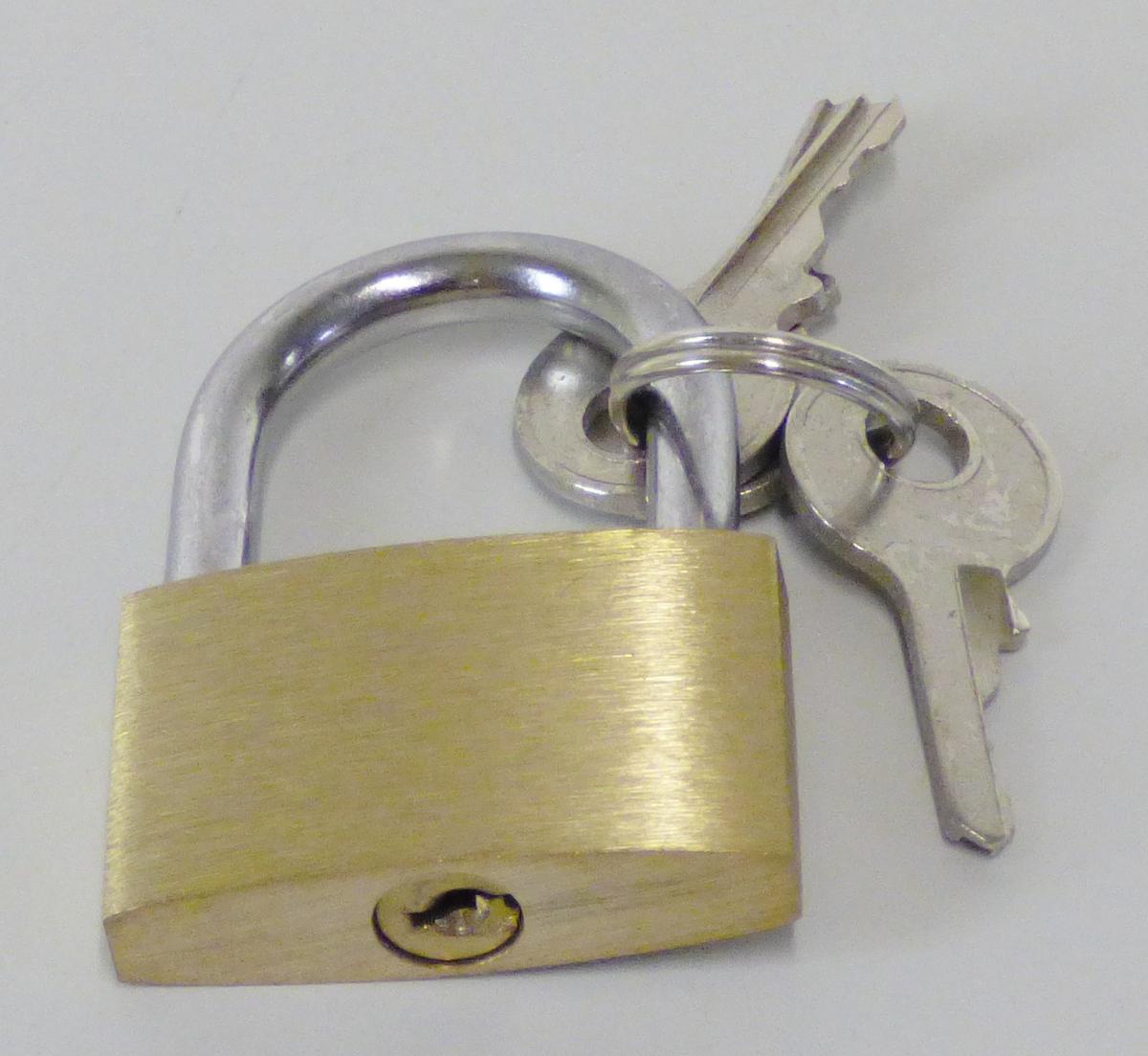Vorhängeschloss, Art-Nummer 46310

Es handelt sich um vollständig aus unedlen Metallen gefertigte Vorhängeschlösser mit einer mit Schlüssel zu betätigenden
Schließmechanik und einem aufklappbaren Bügel. An dem Bügel sind drei Schlüssel mit einem Schlüsselring befestigt. Die Erzeugnisse dienen zum Verschließen und Sichern verschiedener Gegenstände und sind auf einer bedruckten Pappunterlage aufgeblistert.
Maße: ca. 30 x 40 x 7 mm
 - Antragstellerangaben -
Abbildung siehe Anlage.

Derartige Waren gehören als "Vorhängeschlösser (zum Schließen mit Schlüssel), aus unedlen Metallen" zum TARIC-Code 8301 10 00 00.