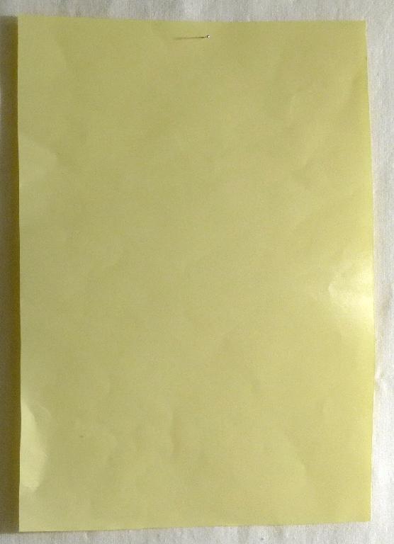 Es handelt sich nach den Angaben der Antragstellerin um ein einseitig mit Kunststoff überzogenes Papier mit einem Quadratmetergewicht von weniger als 150 g. Die Dicke der Kunststoffschicht macht weniger als die Hälfte der Gesamtdicke des Erzeugnisses aus. Das Papier wird in Rollen mit unterschiedlichen Breiten eingeführt.

Abbildung siehe Anlage.

Derartige Waren gehören als "mit Kunststoff überzogene Papiere und Pappen, ausgenommen mit Klebeschicht versehene Papiere und Pappen, in Rollen jeder Größe, ausgenommen Waren von der in der Position 4803, 4809 oder 4810 beschriebenen Art, mit einem Quadratmetergewicht von weniger als 150 g, andere als im TARIC-Code 4811 59 00 20 genannte" zur Codenummer 4811 59 00 90 0 des Zolltarifs.