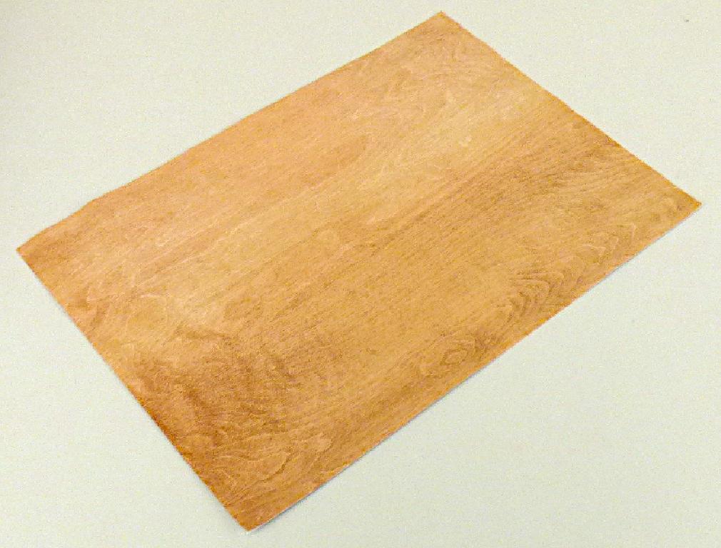 Es handelt sich um einen rechteckigen Zuschnitt aus Papier (Länge etwa 21,0 cm, Breite etwa 15,0 cm), der auf der Rückseite mit einer selbstklebenden Schicht ausgerüstet und ablösbar auf ein Schutzpapier aufgezogen ist. Die Schauseite des Zuschnitts ist mit einem Musterung in Holz-Optik (z. B. Parkett, Holzmaserung) farbig bedruckt, die im Hinblick auf die Verwendung der Ware als Bastelpapier nicht nebensächlicher Art ist. 15 dieser Zuschnitte sind in einer mit Produktinformationen bedruckten Schachtel verpackt.

Abbildung siehe Anlage.

Derartige Waren gehören als "andere Drucke einschließlich Bilddrucke" zum TARIC-Code 4911 91 00 90.