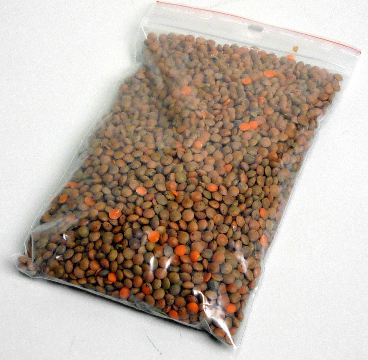 Berglinsen, getrocknet.

Ausgelöste, getrocknete Linsenkerne, Samenschale rötlich-braun mit vereinzelten feinen dunklen Sprenkeln. Berglinsen gehören zur Gattung Lens (Lens culinaris). 

Getrocknete ausgelöste Hülsenfrüchte, auch geschält, Linsen.