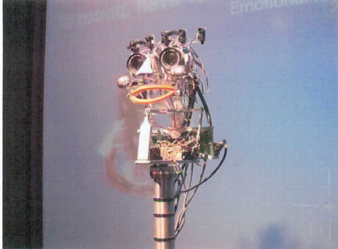 Bei dem Erzeugnis mit der Bezeichnung "Robots Faces" handelt es sich seiner Beschaffenheit und der vorgesehenen Verwendung nach um ein Exponat zu Vorführzwecken in Museen, Science Centern und ähnlichen Einrichtungen, das zur ausschließlichen Wissensvermittlung von wissenschaftlichen Phänomenen und Ergebnissen dient.

Bei dem Exponat "Robots Faces", Seriennummer S-08423 sitzt der Besucher auf einem Schemel vor dem Roboter, der aus einem elektrisch beweglichen Kopf aus mechanisch Komponenten, einer Kamera und einer Steuerung in einem Schrank besteht. 
Die Augen aus Kameraobjektiven nehmen die veränderlichen Gesichtszüge des Besuchers auf, die vom Roboter umgesetzt und nachgeahmt werden. Der Besuchers interagiert mit dem Roboter und bekommt somit die Entwicklung der Robotertechnik veranschaulicht. 

Bestandteile des Exponats (teilweise noch nicht zusammengesetzt):
- Schrank aus Aluminiumblechen mit Steuerung, 
- teleskopierbarer Roboterkopf.

Die Ware ist als "Instrument, Apparat, Gerät und Modell, seiner Beschaffenheit nach zu Vorführzwecken bestimmt, nicht zu anderer Verwendung geeignet, nicht von dem TARIC-Code 9023 0010 00 erfasst" einzureihen.

Anlage: 1 Abbildung