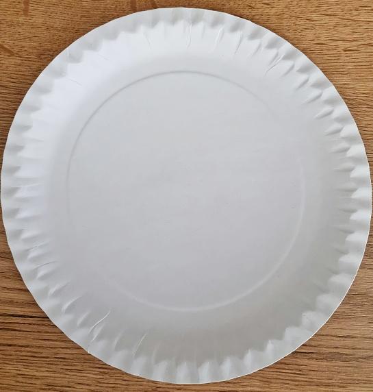 Es handelt sich um runde Teller mit geprägten, leicht hochgezogenen Rändern aus Pappe aus Halbstoff aus Holz mit einem Durchmesser von etwa 23 cm. Die Teller sind zum einmaligen Gebrauch bestimmt und zu 10 Stück in Kunststofffolie eingeschweißt und etikettiert.

Abbildung siehe Anlage.

Derartige Waren gehören als "andere Waren aus Pappe, Teller, nicht aus Bambus" zur Codenummer 4823 69 10 00 0 des Zolltarifs.