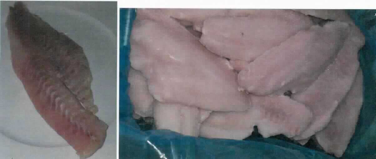 Nach den Antragsangaben handelt es sich um rohe, glasierte, tiefgefrorene Filets von Fischen der Art Sebastes alutus (Pazifischer Rotbarsch) ohne Haut, (Zutaten: Rotbarschfilet,  Wasser, Stabilisator: 451; Gewicht: 160-180 g; 180-220 g).
Die Rotbarschfilets sind in blauen Polyethylenbeuteln mit Umkartons verpackt (Gesamtgewicht inkl. Glasur: 5000 g, Abtropfgewicht: 4000 g). 

Zolltarifrechtlich handelt es sich um "Fischfilets, gefroren, andere als in den Unterpositionen (KN) 0304 6100 bis 0304 8910 genannt, vom Rotbarsch, Goldbarsch oder Tiefenbarsch (Sebastes spp.), nicht von der Art Sebastes marinus oder der Art Sebastes mentella".