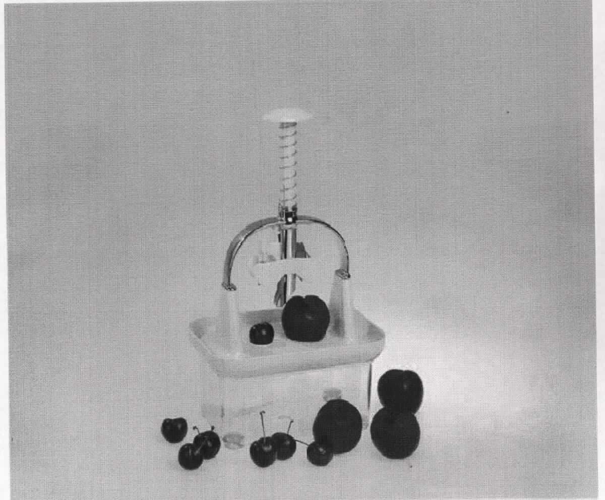 "Kirsch- und Pflaumenentsteiner";
Von Hand zu betätigendes, mechanisches Gerät

- zum Entkernen von Kirschen und Pflaumen, mit einem Gewicht von weniger als 10 kg

- bestehend aus einem durchsichtigen annähernd rechteckigen Kunststoffbehälter 
  (Auffangbehälter für Kerne) mit vier rutschfesten Gummifüßen; an der Oberseite des 
  Behälters ist ein passgenauer Deckel mit zwei Aussparungen und ein Griff mit einem 
  federgelagerten Drücker angebracht; im Drücker sind zwei Klingen aus unedlem 
  Metall (arbeitender Teil) eingesetzt

- durch eine Auf- und Ab-Bewegung des Drückers werden die Kerne aus den 
  Kirschen / Pflaumen gedrückt und das Fruchtfleisch wird aufgefächert

- in einem Pappkarton verpackt

Abbildung siehe Anlage. 

Derartige Erzeugnisse gehören als "von Hand zu betätigende, mechanische Geräte, mit 
einem Gewicht von 10 kg oder weniger, zum Vorbereiten, Zubereiten oder Anrichten von 
Speisen, mit arbeitendem Teil aus unedlem Metall" zum TARIC-Code 8210 0000 00.