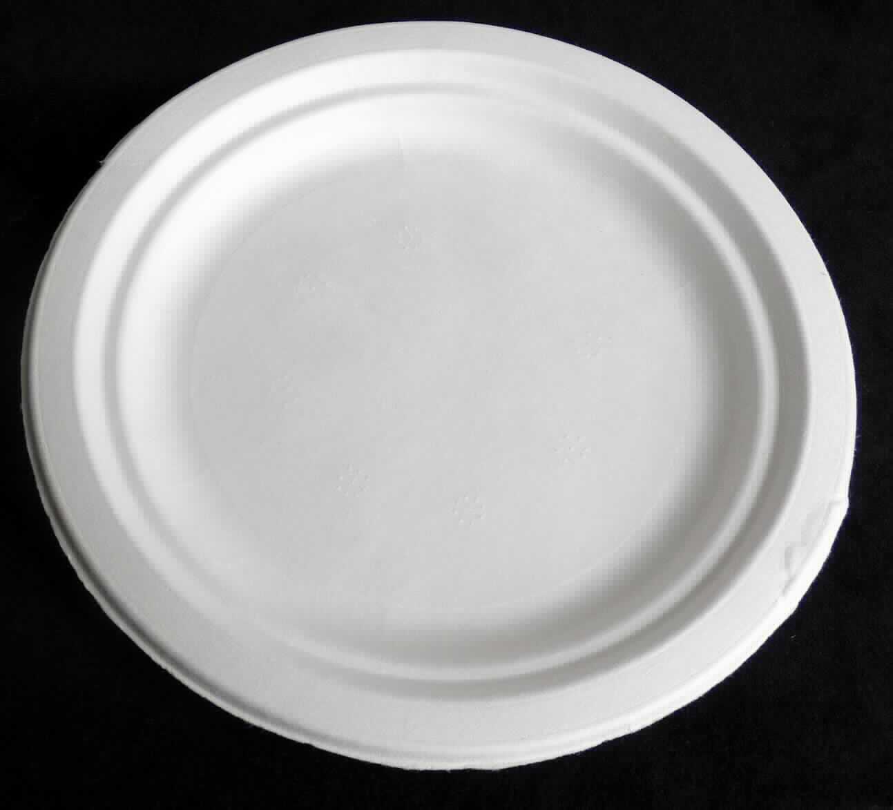 Es handelt sich um einen für den einmaligen Gebrauch bestimmten, weißen, formgepressten Teller (max. Durchmesser etwa 17,0 cm) aus Halbstoff aus Zuckerrohr (lt. Antragstellerin). Auf der Unterseite ist deutlich ein Siebmuster erkennbar.

Abbildung siehe Anlage.

Derartige Waren gehören als "formgepresste Waren aus Papierhalbstoff, andere als Höckerpappe und Kleinverpackungen für Eier" zum TARIC-Code 4823 70 90 00.