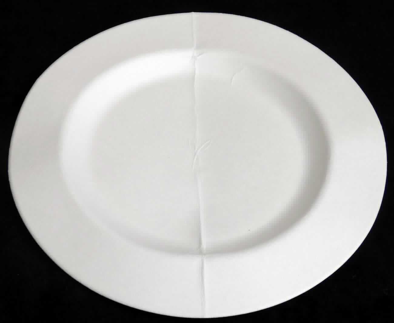 Es handelt sich um einen für den einmaligen Gebrauch bestimmten, weißen, formgepressten Teller (max. Durchmesser etwa 27,0 cm) aus Halbstoff aus Zuckerrohr (lt. Antragstellerin). Auf der Unterseite ist deutlich ein Siebmuster erkennbar.

Abbildung siehe Anlage.

Derartige Waren gehören als "formgepresste Waren aus Papierhalbstoff, andere als Höckerpappe und Kleinverpackungen für Eier" zum TARIC-Code 4823 70 90 00.