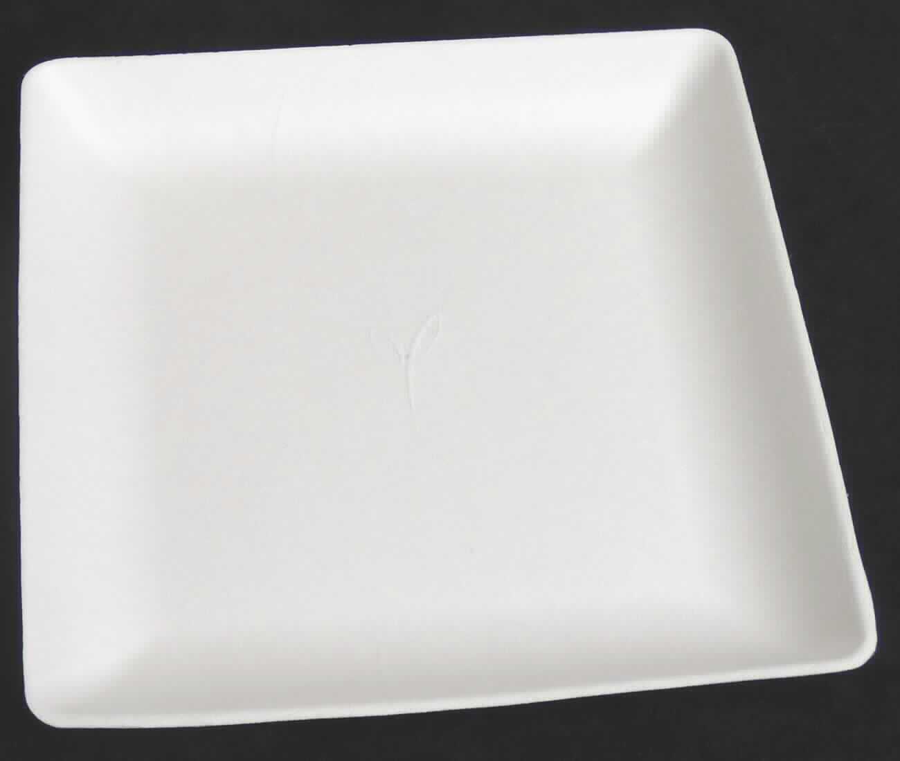 Es handelt sich um für den einmaligen Gebrauch bestimmte, weiße, formgepresste Teller aus Halbstoff aus Zuckerrohr (lt. Antragstellerin) in quadratischer Form in zwei Abmessungen (17 x 17 cm bzw. 22 x 22 cm). Auf der Unterseite ist deutlich ein Siebmuster erkennbar.

Abbildung siehe Anlage.

Derartige Waren gehören als "formgepresste Waren aus Papierhalbstoff, andere als Höckerpappe und Kleinverpackungen für Eier" zum TARIC-Code 4823 70 90 00.