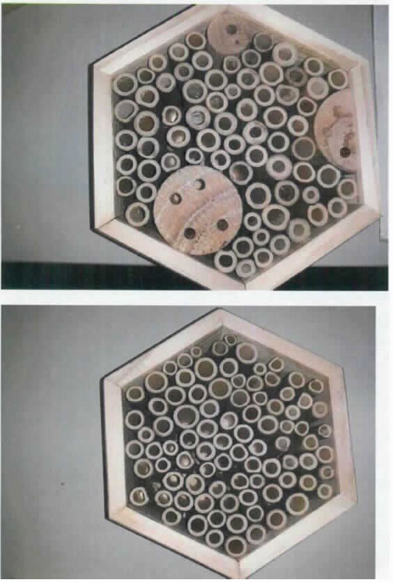 Bienenhotel, Art. 450.369 / 450.372 und 450.370 / 450.373,
- in zwei verschiedenen Ausführungen, jeweils aus einem sechseckigen Gehäuse mit Rückwand, 
  aus Holz, innen entweder nur gefüllt mit Bambusstäben oder mit Bambusstäben und einigen 
  wenigen verschieden dicken, gebohrten Ästen, Abmessungen jeweils 15,5 x 18, x 7 cm,
- zur Verwendung als Nist- und Überwinterungshilfe für Insekten.
(Abbildung siehe Anlage)

Die Bambusstäbe bestimmen hinsichtlich des Wertes, der Bedeutung für die Verwendung und der Menge den Charakter der zusammengesetzten Ware.

"Andere als in den Positionen 4401 bis 4420 genannte Ware aus Holz, aus Bambus (zusammengesetzte Ware aus Bambusstäben -charakterbestimmend- und Holz); sog. Bienenhotel"