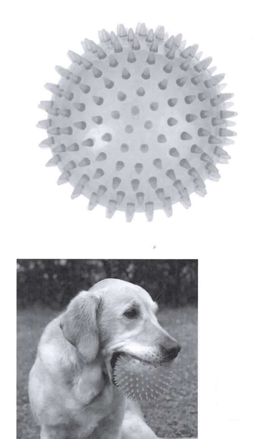 Angaben des Antragstellers:
TPR Spiky Ball large
Extra großer Spielball (Durchmesser 12 cm, Farbe: grün) aus TPR (Thermoplastic Rubber), speziell für große Hunde, mit vielen Noppen, die das Zahnfleisch massieren. Er springt und schwimmt für das Aportieren im Wasser und an Land. Zusätzlich duftet er nach Vanille, so dass kein unangenehmer Geruch besteht.

Feststellung an einem Warenmuster:
Bei dem vorliegenden Warenmuster handelt es sich um einen grün-transparenten, auf der Oberfläche mit Stacheln versehenen Ball aus einem elastischen Material (Durchmesser: ca. 12 cm). Der Ball ist mit einem Pappanhänger mit Produktinformationen (Aufdruck auszugsweise: "DOG TOY   TPR Spiky Ball") sowie der Abbildung eines Hundes versehen.

Befund:
Es handelt sich um eine Ware aus nicht vulkanisiertem Kautschuk im Sinne der Unterposition 4006 9000 (KN).