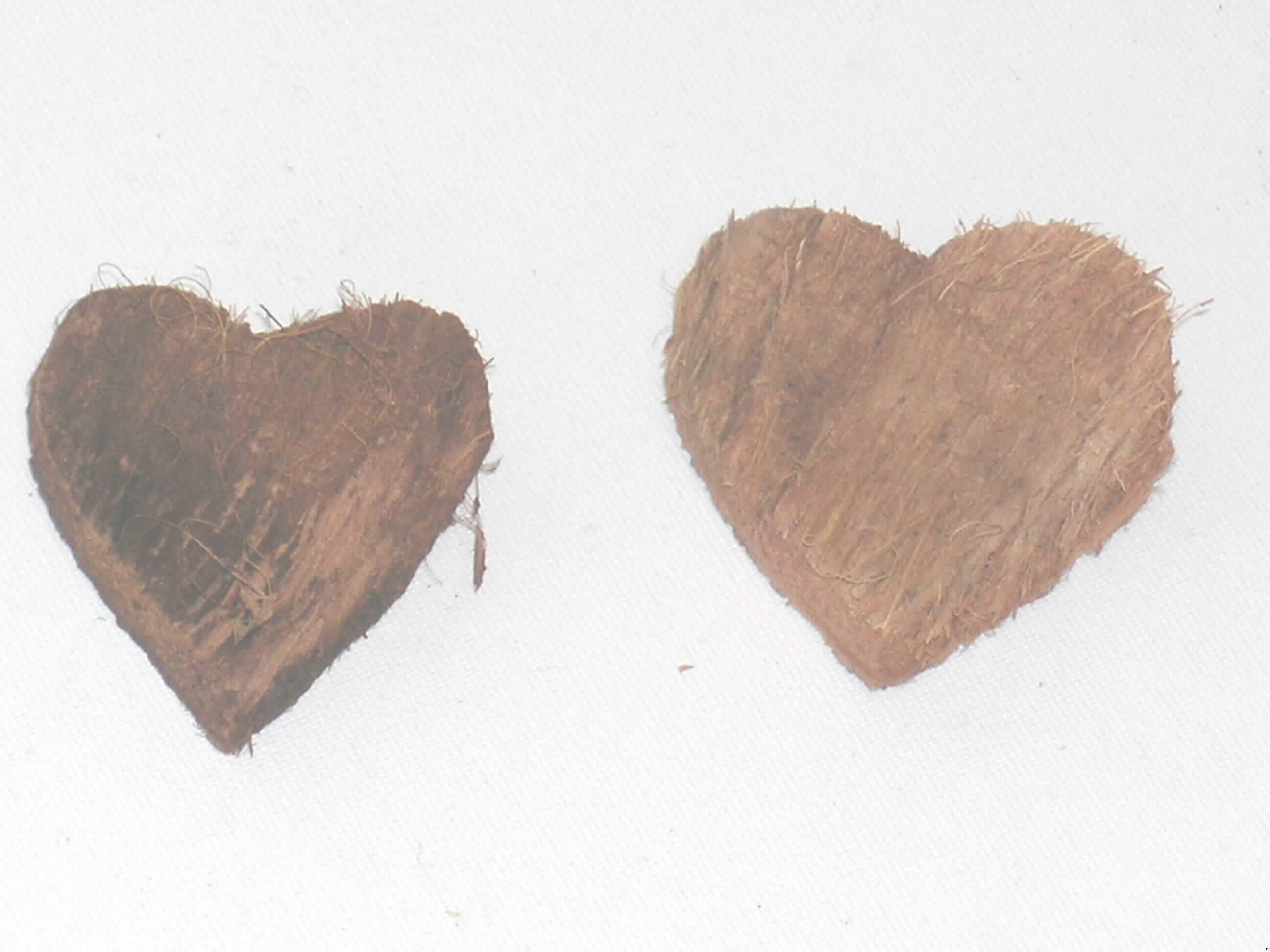 Ware aus pflanzlichem Schnitzstoff in Form eines Herzens, das aus der Schale der Kokosnuss ausgestanzt wurde.
Das Herz weist folgende Abmessungen auf: ca. 4,5 x 4,5 x 1 cm = L x B x D.