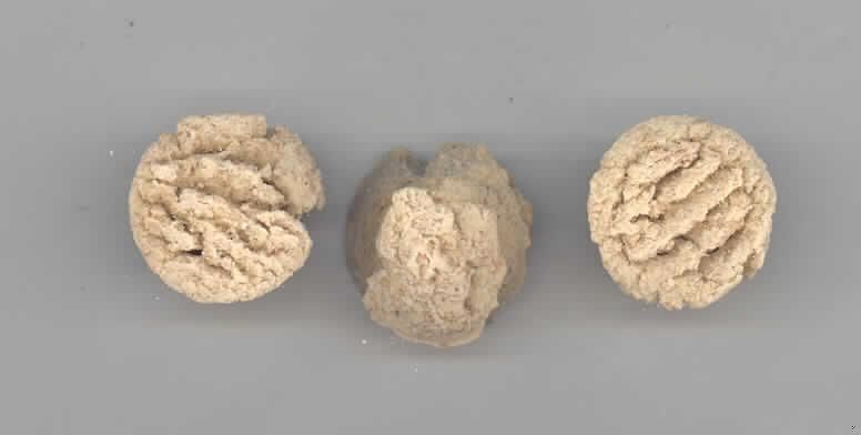 Hundekekse

Antragsangaben: Fenchel-Kekse. Die Rezeptur wurde vertraulich mitgeteilt. Stärke in der Ware: mehr als 30 GHT. Milcherzeugnisse: enthalten mit einem Gehalt von weniger als 10 GHT.

Beschaffenheit der vorgelegten Warenprobe: hellbraune, ca. 2 x 1 cm große, runde, harte Kekse (Gebäck), in einem 250-g-Originalfolienbeutel mit Etikett, einer Aufmachung für den Einzelverkauf entsprechend. Etikett-Text (Auszug): "Fenchel-Kekse. Moni's Hunde-Bäckerei. Ergänzungsfuttermittel für Hunde".

Aufgrund der Aufmachung als Hundefutter ist eine Verwendung zur menschlichen Ernährung grundsätzlich ausgeschlossen.

Zubereitung von der zur Fütterung verwendeten Art, Hunde- und Katzenfutter, in Aufmachung für den Einzelverkauf, mit einem Gehalt an Stärke von mehr als 30 GHT, keine Milcherzeugnisse enthaltend oder mit einem Gehalt an Milcherzeugnissen von weniger als 10 GHT.