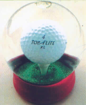 Puzzle aus Glas und Kunststoff, sog. Geschicklichkeitsspiel "Get the ball on the tee", im Wesentlichen bestehend aus einer durchsichtigen, mit Wasser gefüllten Glaskugel auf einem Kunststoffsockel mit innenliegendem, feststehenden Sockel (sog. Tee) und einem frei beweglichen Golfball. Durch geschicktes Schütteln der Ware soll der Golfball auf dem Tee platziert werden.

Die in einem Pappkarton verpackte Ware ist ca. 12 cm hoch.

Bild der Ware im Internet unter http://europa.eu.int/comm/taxation_customs/dds/de/ebticau.htm