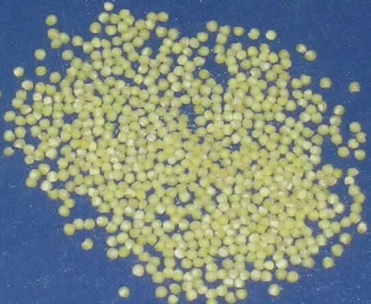 Hirse, geschält

Antragsangaben (als zutreffend unterstellt): Hirse.

Äußere Beschaffenheit des vorgelegten Warenmusters: Gelbe, geschälte, im Durchmesser ca. 2 mm große Hirsekörner bei denen sowohl die Deck- und Vorspelzen als auch die Hüllspelzen komplett entfernt sind.

Aufgrund der äußeren Beschaffenheit kann unterstellt werden, dass die Hirsekörner einen Stärkegehalt von deutlich mehr als 45 GHT und einen Aschegehalt von weniger als 2 GHT haben.

Andere Getreidekörner, geschält (entspelzt), von Hirse.

Es konnten keine Anhaltspunkte festgestellt werden, die auf eine Bearbeitung oder Zubereitung der Ware hinweisen, die über das in Kapitel 11 zugelassene Maß hinaus geht (Ausschluss Position 1904).