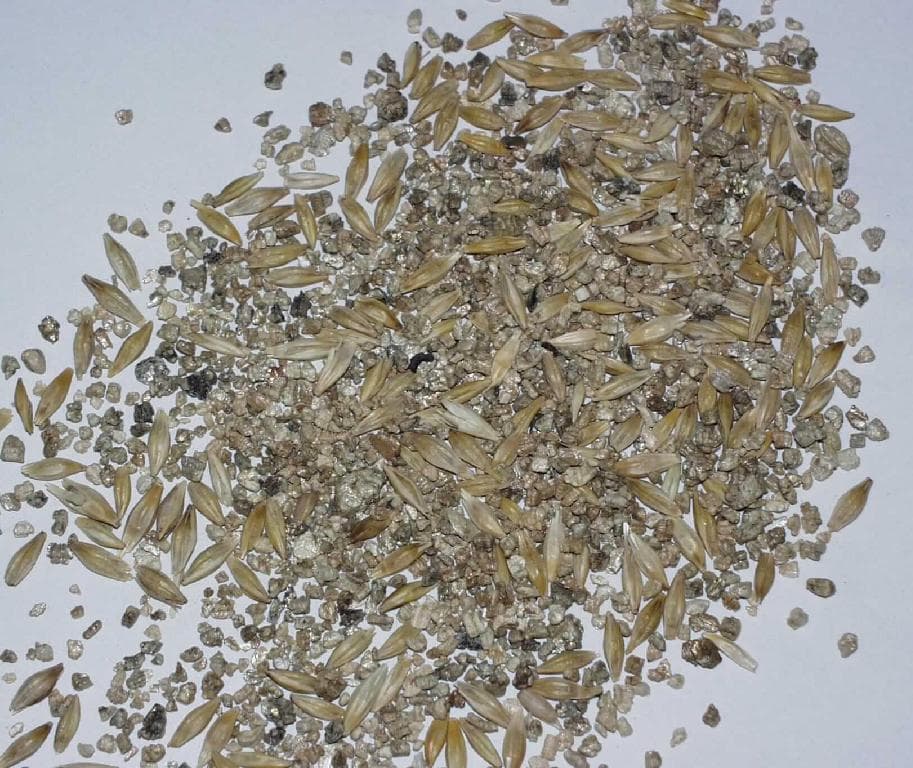 Gerstenkörner (bespelzt) gemischt mit amorphem Vermiculite.

Antragsangaben (als zutreffend unterstellt): Mischung aus Gerstenkörnern und Vermiculite. Über die Verwendung der Ware wurden vertrauliche Angaben gemacht.

Beschaffenheit der vorgelegten Warenprobe: Mischung aus bespelzten Körnern von Gerste und einem beige-braunen Material von weicher Konsistenz.

Gerste, zur Aussaat.