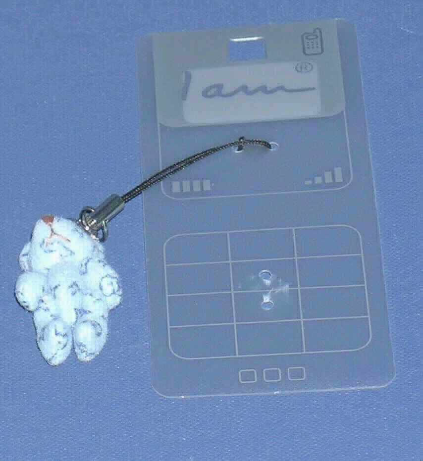 Spielzeug, ein Tier darstellend, Füllmaterial enthaltend, sog. Handyanhänger.

Die an einem Mobiltelefon zu befestigende Ware stellt einen ca. 4 cm großen, hellblauen, gemusterten, mit weichem Material gefüllten, aus Spinnstoff bestehenden Bär dar, der mit einer abnehmbaren Aufhängeschlaufe versehen ist.

Der Teddy dient im Wesentlichen der spielerischen Unterhaltung von Personen und ist auf einer Verkaufskarte aus Kunststoff für den Einzelverkauf aufgemacht.

Ein Bild der Ware befindet sich im Internet unter:
http://europa.eu.int/comm/taxation_customs/dds/de/ebticau.htm.