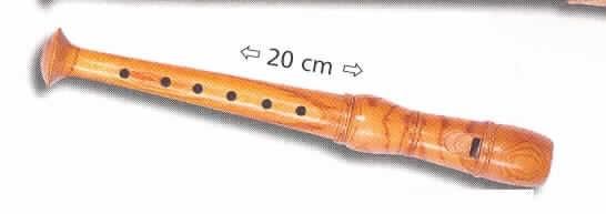 Holzblasinstrument in Form einer ca. 20 cm langen Blockflöte,
aus einem einteiligen Holzkörper bestehend und mit 6 Tonlöchern versehen, verpackt in einer Faltpappschachtel.