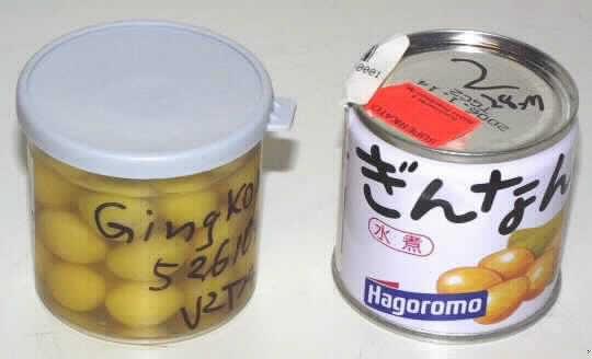 Ginkgo-Samen, zubereitet.

Antragsangaben (als zutreffend unterstellt): Ginkgonuss, gekocht. Zutaten: Ginkgonuss, Wasser, Salz, Zucker. Über die genaue Warenzusammensetzung wurden vertrauliche Angaben gemacht.

Beschaffenheit des vorgelegten Warenmusters: gelbliche, ovale, ganze, schwach süß, schwach bitter und mehlig schmeckende Samen in einer schwach gelben, trüben Aufgussflüssigkeit. Die Samen sind bissfest und weisen im Innern eine mehlige Beschaffenheit auf. Anteil an Samen i. d. W.: rd. 61 GHT. Aufmachung: in einer mit überwiegend asiatischen Schriftzeichen bedruckten sowie etikettierten Konservendose mit Ring-Pull-Verschluss, für den Einzelverkauf aufgemacht. Etikettaufschrift (auszugsweise): "GINGKO (GINNAN MIZUNI); NETTO: 55 G; Zutaten: Gingko. Produkt aus Japan."

Andere Samen (hier: Ginkgo-Samen), in anderer Weise zubereitet oder haltbar gemacht als für Waren anderer Kapitel und der vorhergehenden Positionen des Kapitels 20 vorgesehen, auch mit Zusatz von Zucker, anderweit weder genannt noch inbegriffen, in unmittelbaren Umschließungen mit einem Gewicht des Inhalts von 1 kg oder weniger.