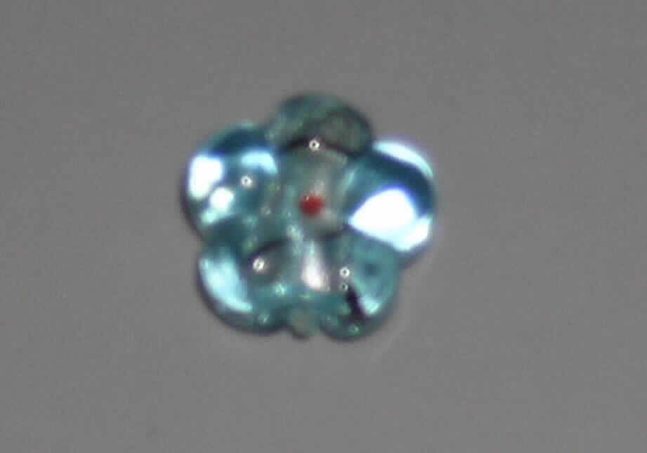 Glasperle, siehe Foto, 
- blumenförmige, massive Perle aus vollständig durchbohrtem Glas, 
- - überwiegend türkisfarben mit Folieneinzug (lt. Antrag), 
- mit einem Durchmesser von ca. 15 mm und einer Dicke von ca. 8 mm, 
- nicht geschliffen und mechanisch poliert, da die Perle weder glatte und scharfkantig abge- 
  grenzte Schleifflächen (Facetten) noch einen geschliffenen Lochrand aufweist, 
- keine Nachahmung von echten Perlen, Zuchtperlen, Edel-, oder Schmucksteinen, 
- zum Herstellen von z.B. Halsketten u.ä. bestimmt, 
- augenscheinlich nicht handgearbeitet.