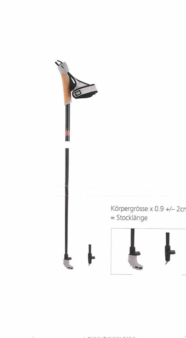 Gehstöcke (siehe Abb.)
- aus (lt. ergänzenden Antragsangaben) Carbon,
- mit unterschiedlichen Längen (lt. ergänzenden Angaben: von 145 - 175 cm),
- (lt. ergänzenden Antragsangaben) mit Griffen aus Kork, 
- (lt. ergänzenden Antragsangaben) mit Halteschlaufen aus Spinnstoff, 
- mit auswechselbaren Abdeckkappen (Gummipuffer) für die Stockspitzen, aus Kautschuk, 
- nicht handgearbeitet,
- (lt. ergänzenden Antragsangaben) paarweise in einem klarsichtigen Polybeutel verpackt