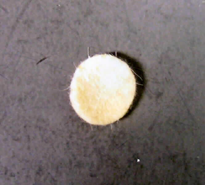 Ware des technischen Bedarfs aus Spinnstoffen,
- rund, mit einem Durchmesser von ca. 2 cm und einer Dicke von 2,5 mm; in anderer 
  als quadratischer oder rechteckiger Form zugeschnitten, somit konfektioniert, 
- aus einem genadelten Filz aus Spinnstoffen,
- lt. Antrag zur Verwendung als Filtermedium; wird in die Gummimembrane von
  Teichbelüftern eingesetzt und soll die angesaugte Luft filtern,
- weist von der Konzeption her (u. a. spezieller Zuschnitt) besondere Merkmale auf, 
  die erkennen lassen, dass es sich um eine Ware des technischen Bedarfs handelt 
  (u. a. somit keine Ware der Position 5602 und auch keine Ware der Position 6307).