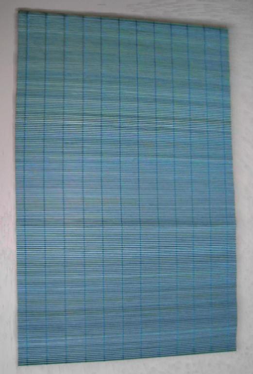 Matte (sog. Tischset aus Bambus) 
- rechteckig, in den Abmessungen von ca. 30 x 45 cm,
- hergestellt aus pflanzlichen Flechtstoffen (laut Angaben des Antragstellers aus gefärbten
  Bambushalmen mit einem Durchmesser von ca. 0,2 cm), die parallel aneinandergefügt 
  und durch Haltefäden aus Spinnstoffen in Flächenform verbunden sind.