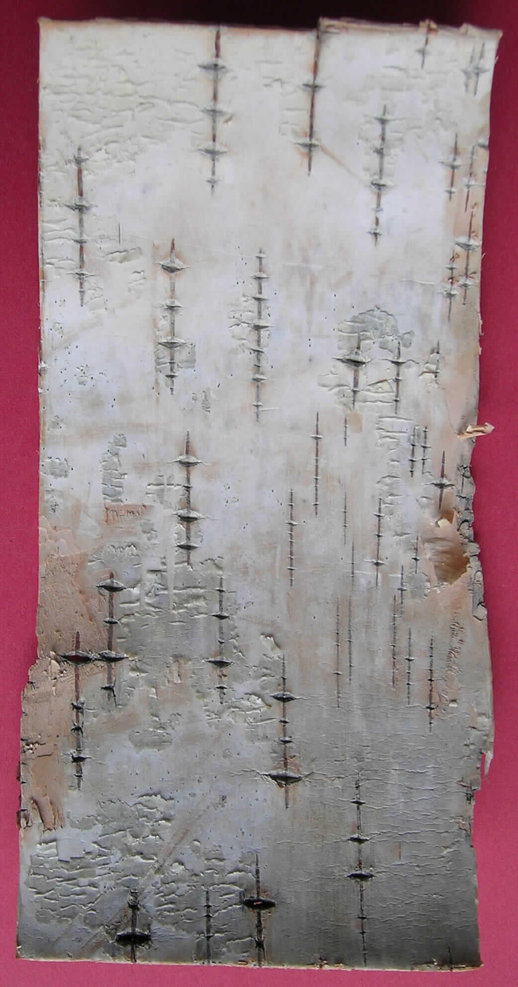 Nach den Angaben der Antragstellerin und der vorliegenden Warenprobe handelt es sich um ein von Birken abgezogenes Rindenstück (etwa 17 x 8 cm). Unbehandelte Birkenrinde wird üblicherweise zum Gerben verwendet. Eine andere Verwendung (z.B. zum Basteln von Birkenrindendöschen) steht der Einreihung nicht entgegen.