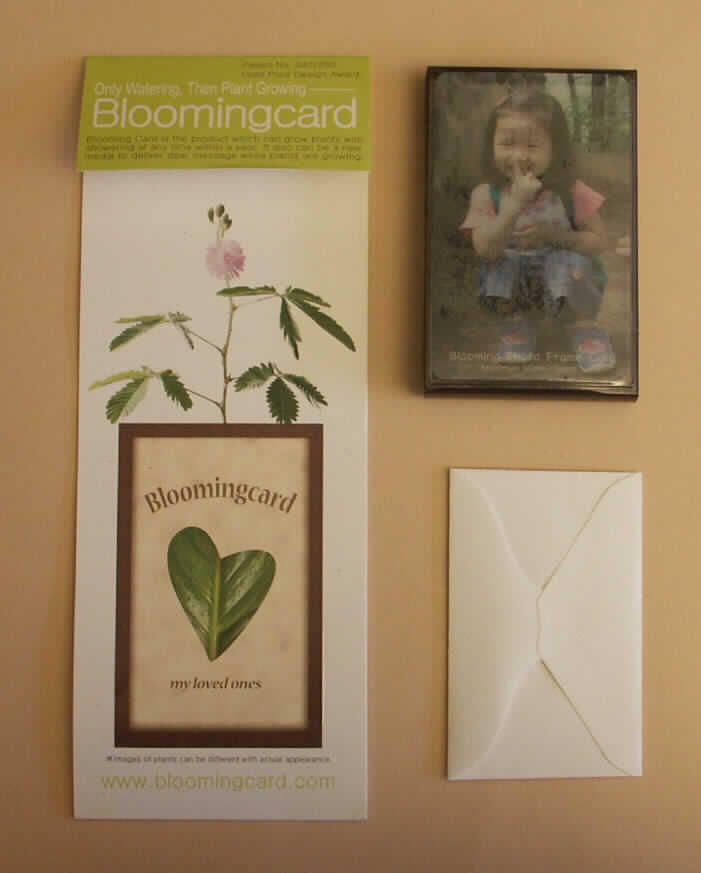 Warenzusammenstellung in Aufmachung für den Einzelverkauf, sog. Blooming Card. Sie besteht aus einer braunen Kunststoffschachtel (Größe: ca. 100 x 65 x 14 mm), in der sich gepresstes Material (ca. 80 % Torf-Moos und ca. 20 % Kokostorf) befindet. Auf der vorderen Seite kann ein Foto oder eine Grußkarte hineingesteckt werden. Sie ist zusammen mit einer Pflanzanleitung, Informationen zur Pflanze und einem Briefchen mit den Samen in einem Folienbeutel eingepackt. Bei den Samen handelt es sich um Samen der Art Mimosa pudica (Mimose). Die eingeschweißte Kunststoffschachtel ist wiederum zusammen mit einer weiteren Anleitung in einem durchsichtigen Kunststoffbeutel verpackt. 

Die Samen sollen in die Füllung der "Karte" eingebracht werden und das innere Material soll sich mit Wasser voll saugen. Durch weiteres regelmäßiges Gießen und durch Lichteinfall sollen die Samen keimen und die Pflanze aus der oberen Öffnung herauswachsen. 

Im Hinblick auf die Verwendung (Aufzucht einer Pflanze) bestimmen die Samen der Mimose den Charakter der Ware. Anhaltspunkte die gegen die angemeldete Pflanzenart sprechen, haben sich hier nicht ergeben.