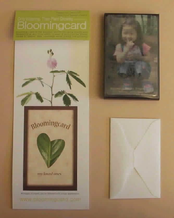 Warenzusammenstellung in Aufmachung für den Einzelverkauf, sog. Blooming Card. Sie besteht aus einer braunen Kunststoffschachtel (Größe: ca. 100 x 65 x 14 mm), in der sich gepresstes Material (ca. 80 % Torf-Moos und ca. 20 % Kokostorf) befindet. Auf der vorderen Seite kann ein Foto oder eine Grußkarte hineingesteckt werden. Sie ist zusammen mit einer Pflanzanleitung, Informationen zur Pflanze und einem Briefchen mit den Samen in einem Folienbeutel eingepackt. Bei den Samen handelt es sich um Samen der Art Mimosa pudica (Mimose). Die eingeschweißte Kunststoffschachtel ist wiederum zusammen mit einer weiteren Anleitung in einem durchsichtigen Kunststoffbeutel verpackt. 

Die Samen sollen in die Füllung der "Karte" eingebracht werden und das innere Material soll sich mit Wasser voll saugen. Durch weiteres regelmäßiges Gießen und durch Lichteinfall sollen die Samen keimen und die Pflanze aus der oberen Öffnung herauswachsen. 

Im Hinblick auf die Verwendung (Aufzucht einer Pflanze) bestimmen die Samen der Mimose den Charakter der Ware. Mimosensamen sind nach dem Zolltarif als Forstsamen anzusprechen. Anhaltspunkte die gegen die angemeldete Pflanzenart sprechen, haben sich hier nicht ergeben.