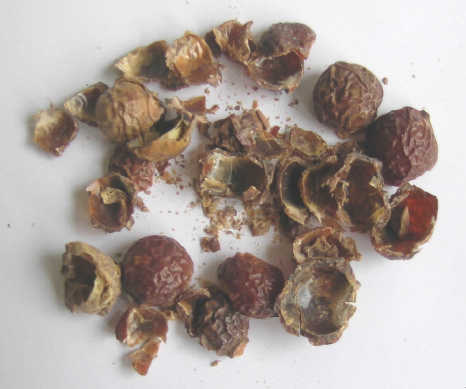 "Waschnüsse (Soap Nuts)"
Getrocknete Fruchtschalen von Nüssen der Art Sapindus mukorossi. Die Schalen enthalten nach Angaben der Fachliteratur natürliches Saponin, das zum Waschen (z.B von Textilien) verwendet wird.