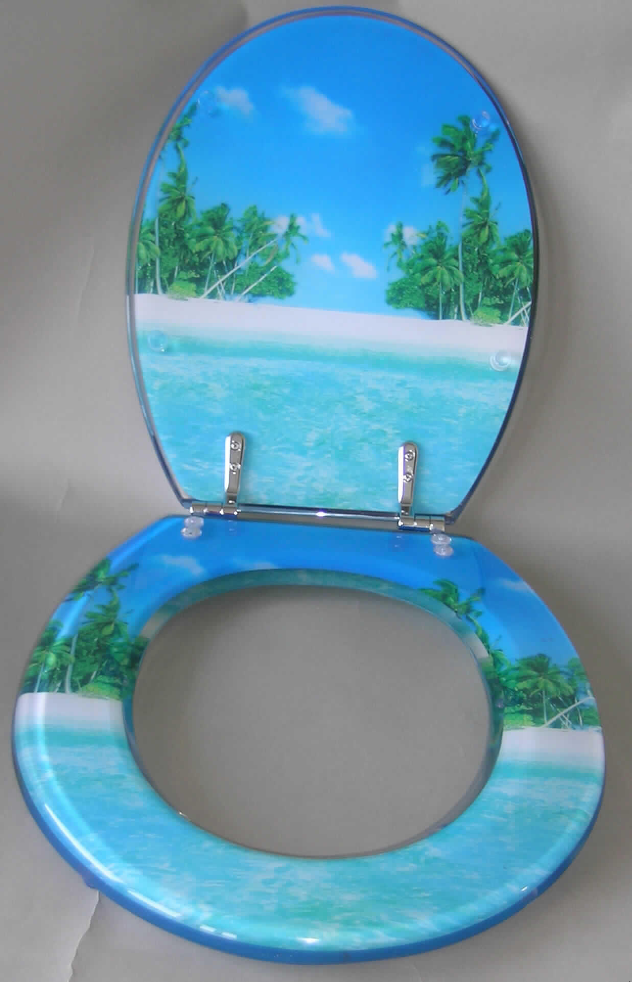 Toilettensitz mit Deckel aus einem transparenten Kunststoff im Sinne der Anmerkung 1 zu Kapitel 39 mit eingelassener Strandlandschaft (Palmen, Wasser, Sand usw.). 
Die Verbindungs- und Befestigungsscharniere bestehen aus unedlem Metall. 
Der Ware ist Befestigungsmaterial aus Kunststoff und Metall beigefügt.