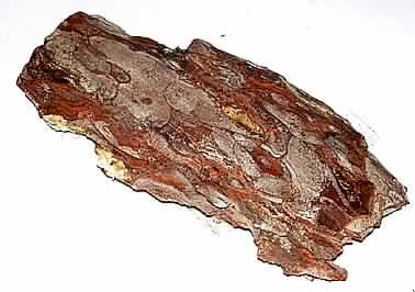 Pinienrinde,
- nach dem vorgelegten Muster handelt es sich um ein ca. 17 x 9 cm großes Stück einer 
  Pinienrinde,
- nicht weiter bearbeitet,
- nicht für Riechmittelherstellung, medizinische Zwecke, Gerber- oder Färbezwecke 
  bestimmt.

"Holzabfall (Rindenstücke)"