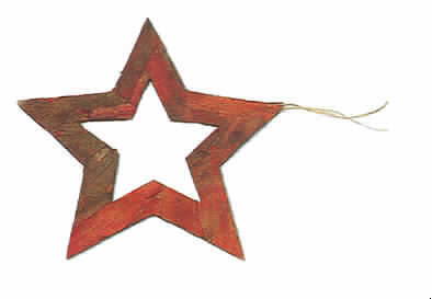 "Stern",
- ca. 15 cm großer, flacher, fünfzackiger Stern aus gepresster und gestanzter 
  Jujube-Baumrinde, innen mit sternförmiger Öffnung,
- mit einer Aufhängeschlaufe versehen,
- zu Zierzwecken.
Derartige Waren werden üblicherweise auch vom Blumenhandel zu Zierzwecken angeboten.

"Ziergegenstand aus getrockneten, blütenlosen Pflanzenteilen, weitergehend bearbeitet als
nur getrocknet"