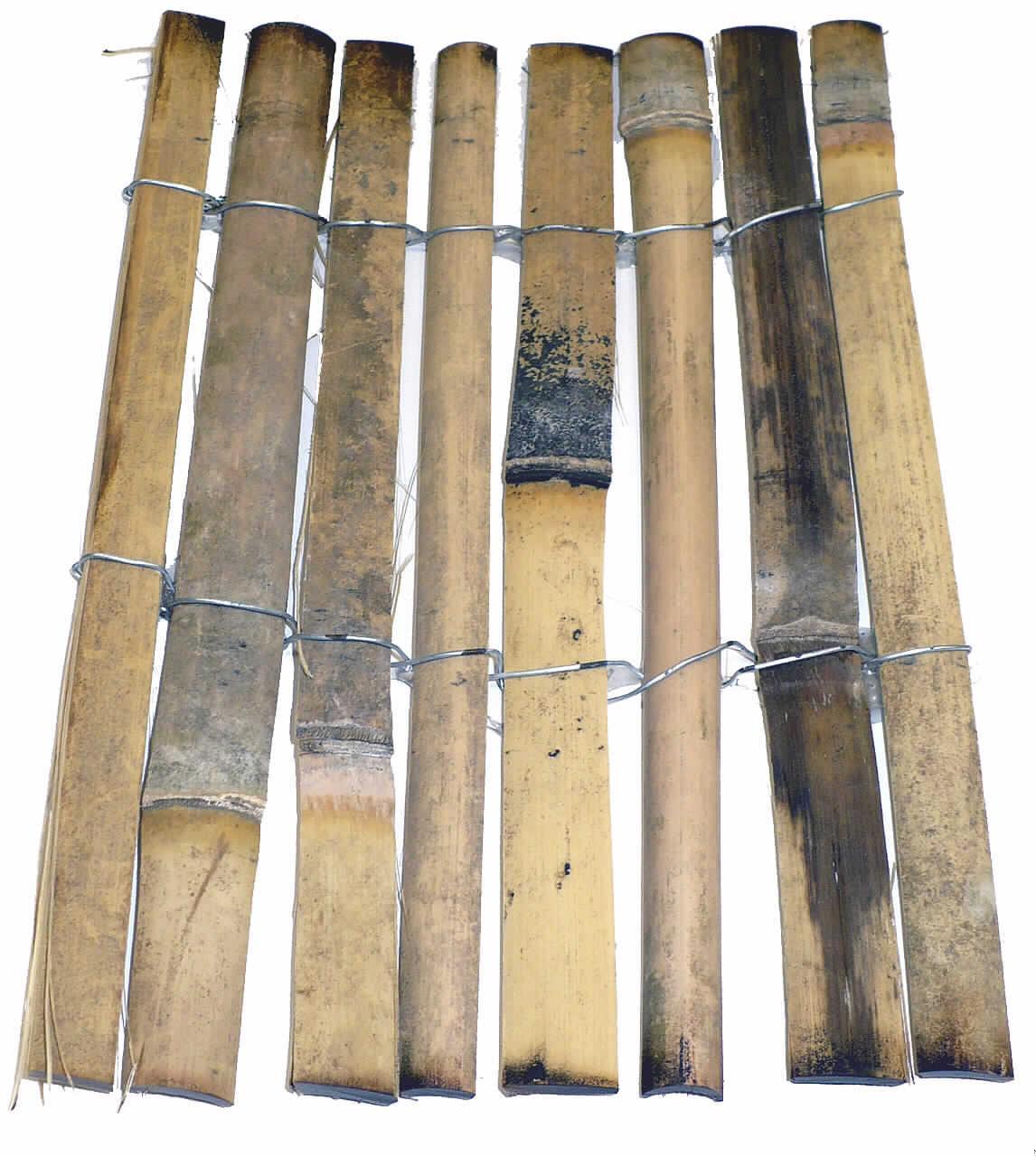 "Sichtschutz Bambus,
- Matten aus getrockneten, gespaltenen, dickwandigen, starren Bambusstäben 
  (Breite je Stab ca. 10 - 16 mm, Dicke je ca. 3 mm,  nicht zum Flechten geeignet), 
  die parallel angeordnet und mit verzinktem Eisendraht zusammengehalten werden,
- in verschiedenen Abmessungen (H x L: 100 x 500 cm, 150 x 500 cm, 200 x 500 cm, 
  180 x 500 cm, 100 x 300 cm, 150 x 300 cm, 180 x 300 oder 180 x 180 cm),
- zur Verwendung im Freien als Abtrennung (Wind- oder Sichtschutz, Sicherheitszaun, 
  Grundstücksabgrenzung).
(Abbildung siehe Anlage).

"Andere als in den Pos 4401 bis 4420 genannte Ware aus Holz, kein Kleiderbügel, kein Bügelbrett oder -tisch (zusammengesetzte Ware aus Holz -charakterbestimmend- und Draht), sog. Sichtschutz aus Bambus"
