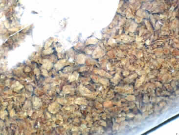 "Haustierstreu"
- Sägespäne aus Pinienholz (lt. Antragsteller), ohne chemische Zusätze unter Hitze 
  getrocknet, ca. 1-5 mm lang,
- bei der Bearbeitung von Holz angefallen,
- lose in einem Plastikbeutel à 4 kg verpackt,
- zur Verwendung als Einstreumaterial für Haustiere.

"Sägespäne"