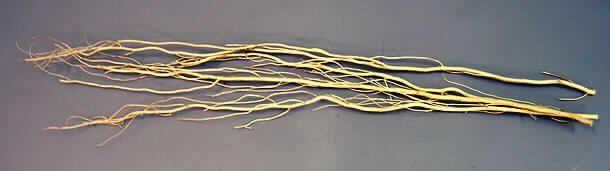 "Dekozweige", 
- aus ca. 100 bis 110 cm langen getrockneten, entrindeten, starren Zweigen (Weide, lt. 
  Antragsteller),
- zu Binde- oder Zierzwecken geeignet und bestimmt,
- wird üblicherweise im Blumenhandel zu Zierzwecken verkauft.
  (Abbildung siehe Anlage)    

"Pflanzenteile, ohne Blüten und Blütenknospen, zu Binde- oder Zierzwecken, weiter
 bearbeitet als nur getrocknet, nicht zur Herstellung von Potpourries, sog. Dekozweige"
