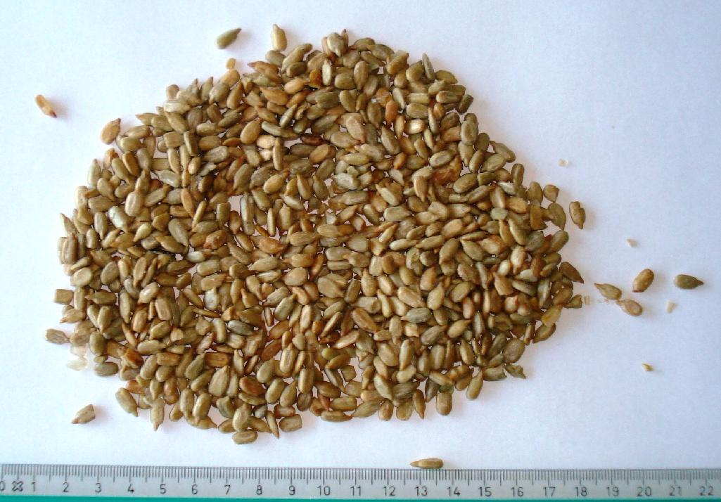 Produktet er solsikkekerner, der ifølge dataarket er ristede og let saltede.

Kernerne fremstår som hårde kerner og med en farve i gul-brune nuancer, og de er emballeret i bokse eller sække á 45 LB, svarende til 22,68 kg.