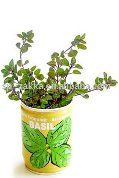 Produktet er plantefrø i vækstmuld på dåse.

Produktet består af:
Tindåse, der kan åbnes i toppen.
Vækstmuld i form af cultura media pottemuld
Plantefrø: Ocimum basilicum

Anvendelse:
Produktet leveres med vækstmuld og frø på dåse.
Når væksten skal sættes i gang i frøene, rives låget af dåsen og der hældes vand på og planten vokser op.