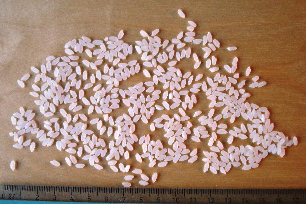 Produktet er ris, der er dyrket i Californien.

Produkt:
Milled Calrose.

Risene dyrkes og mølles i Californien og pakkes i sække med 50 lb (pound) pr sæk. (1 lb svarer til ca 0,45 kg, således at indholdet i sækken svarer til ca 22,5 kg).

Anvendelse:
Risene benyttes i susi.