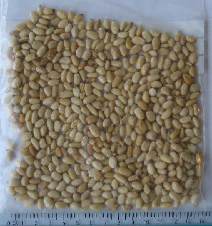 Produktet betegnes som 100 % ristede Semen Pinus yunnanensis pinjekerner.

Produktet foreligger i detailsalgspakninger på under 1 kg.