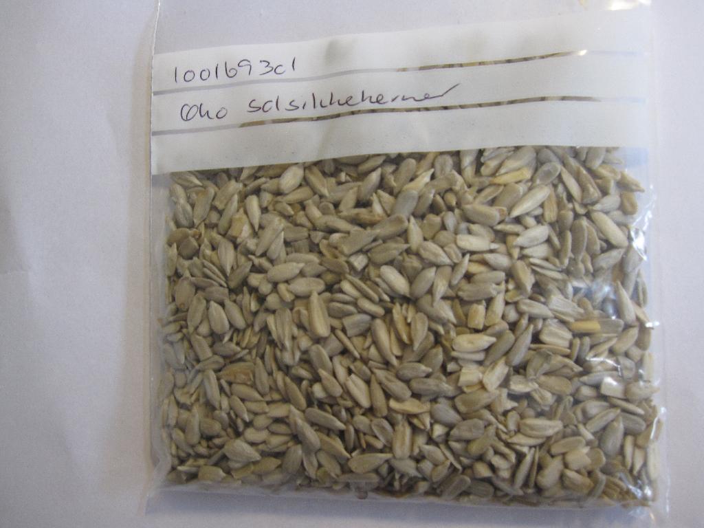 100% økologiske solsikkekerner

Kernerne er afskallede og fremstår i ulige størrelser mellem 0,8 og 1,5 cm.