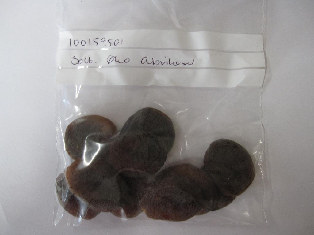 100% økologiske soltørrede abrikoser.

Produktet fremstår som udstenede soltørrede abrikoser. 
Det er oplyst at det drejer sig om 100% økologiske abrikoser.
Produktet er stabiliseret men ikke yderligere tilberedt og bevarer karakteren af tørrede frugter.