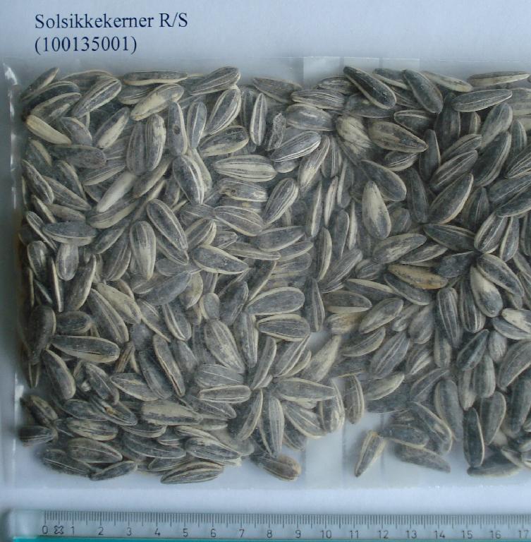 98,5% solsikkekerner med skal, salt, hvedemel (gluten).

I bulk.