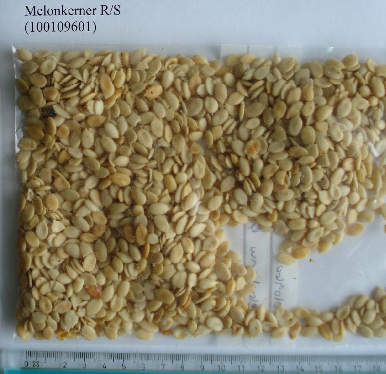 Varen betegnes som melonkerne og fremstår som flade, ovale kerne ca. 1 cm lange. Kernerne har varierende farve mellem lys/naturfarve til brun og virker delvist ristede. De fremstår saltet og har ligeledes smagen af at være saltet. 

Der er oplyst følgende ingredienser: 98,5 % melonkerne, salt, jordnøddeolie.

Varen foreligger i pakninger over 1 kg.